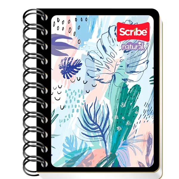 CUADERNO POCKET ESCOLAR SCRIBE 4200 RAYA ESP. 80H C18